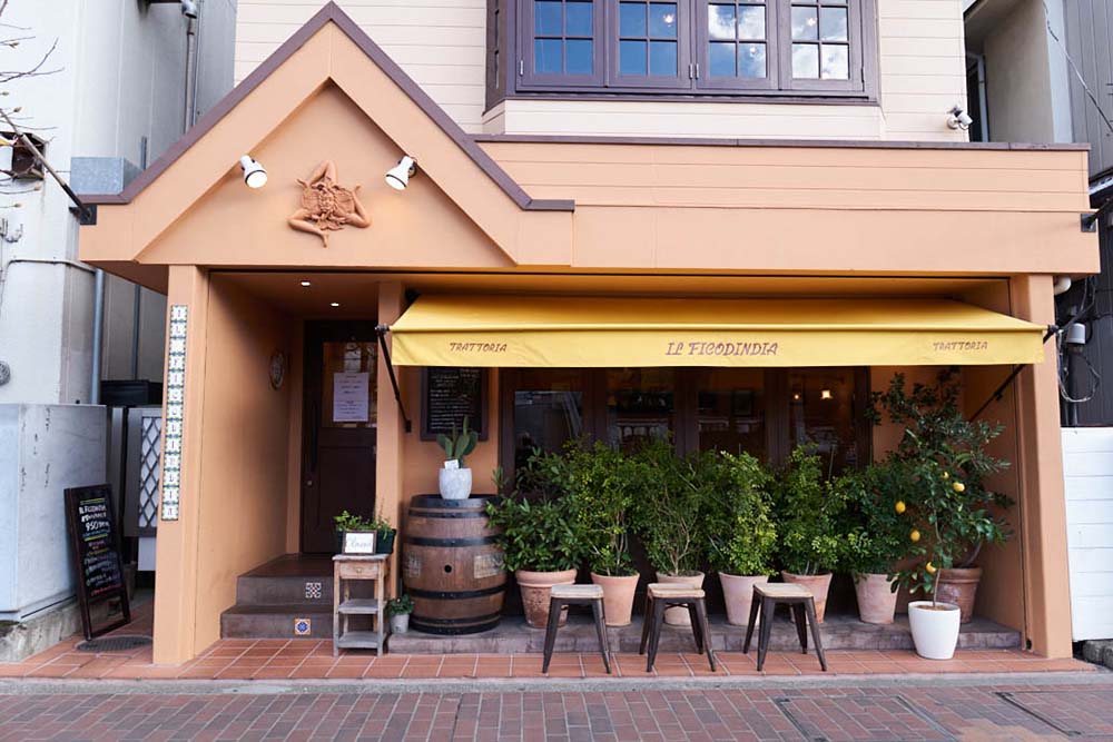 フィーコディンディア