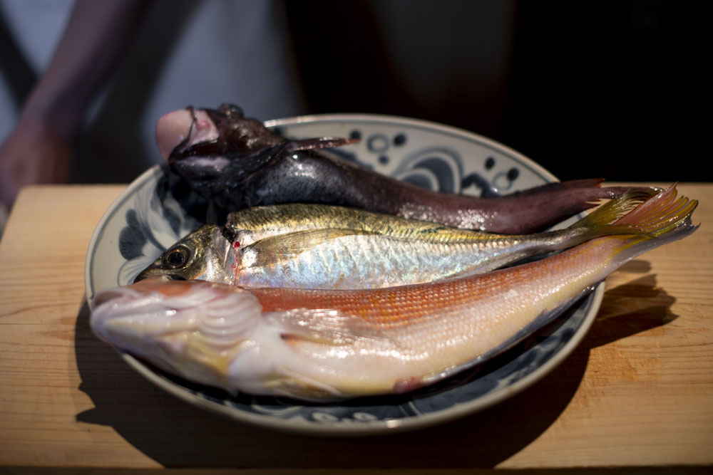本日、前田さんから仕入れた魚。（奥から手前）かぶら蒸しにする、どんこ。炊き立てのご飯にのせたり、酢の物にするアジ。焼き物にする赤アマダイ。どれもハリがあって美しい。
