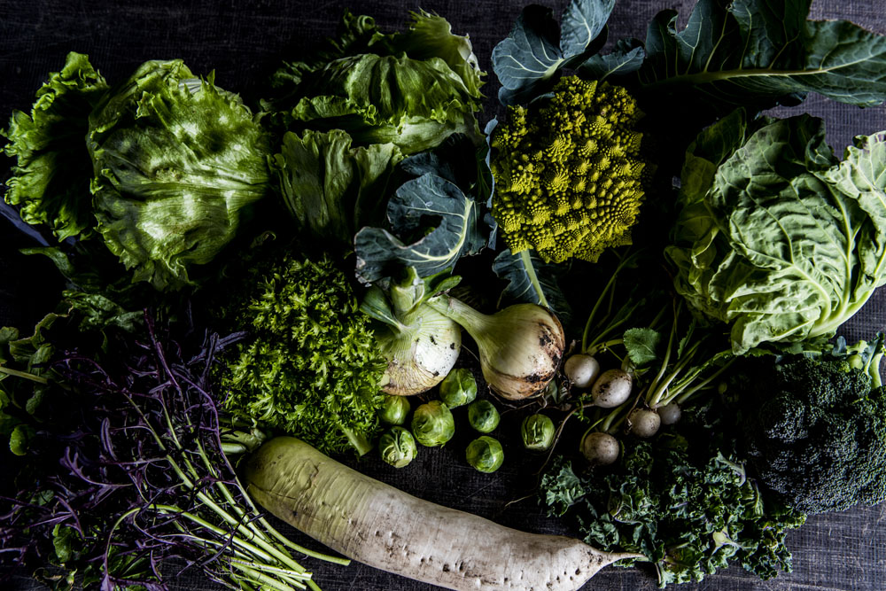 地元の料理人たちは朝、農園を訪れ、各自ほしい野菜をほしいサイズで収穫していく。遠方のシェフへはセットで郵送対応。２月末の野菜は、レタスやキャベツ、芽キャベツやプチヴェール、ブロッコリー、ロマネスコ、からし菜、ワサビ菜など。