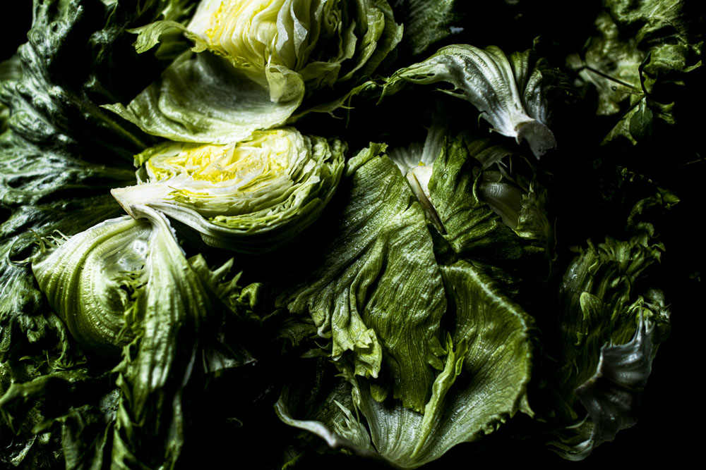 「レタスの葉は柔らかくないと、なんていうけど、料理人にはほどよく大きく育てて、しっかりした硬さの葉に育てた方が、甘味もあって好評。彼らは強めに焼いたり、レアに半生にしたり、微妙な火入れをするからね」と茂夫さん。