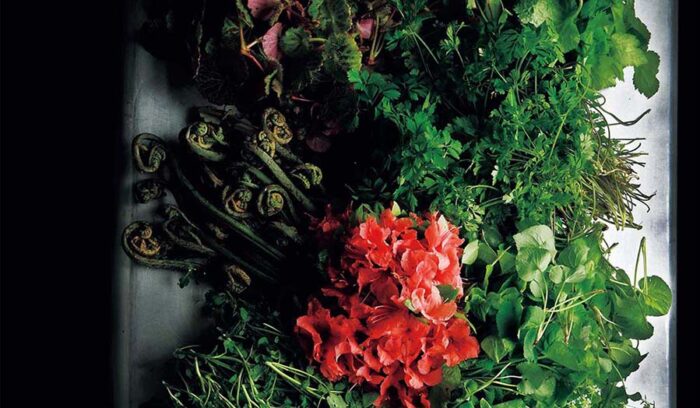 【森グルメ】「NARISAWA」成澤由浩シェフの森と向き合う覚悟「関わるなら、とことん関わる」