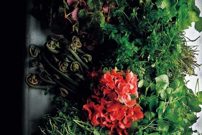 【森グルメ】「NARISAWA」成澤由浩シェフの森と向き合う覚悟「関わるなら、とことん関わる」