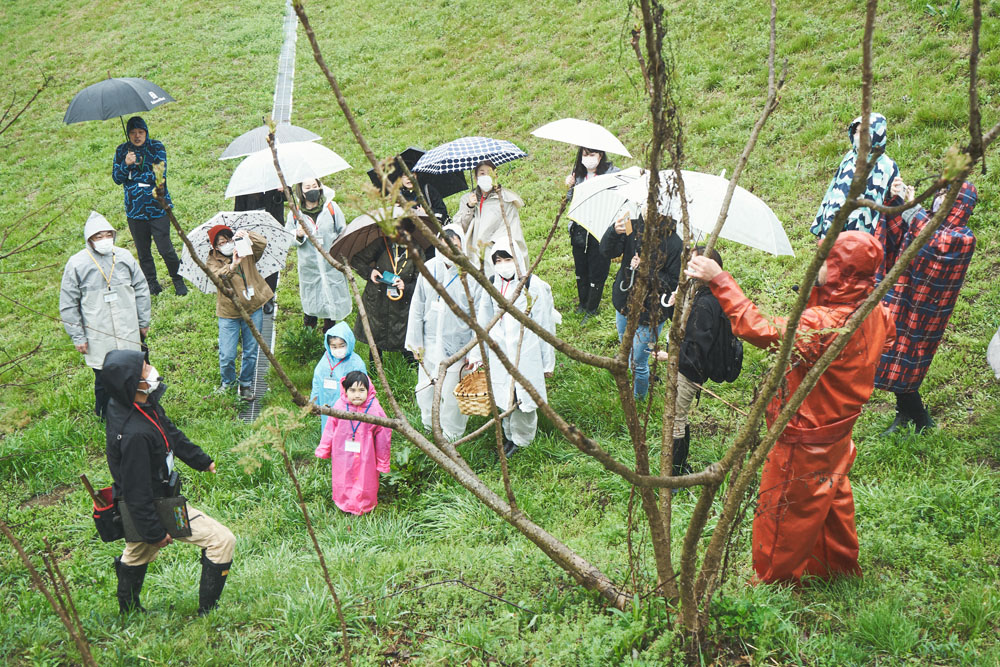 クルックフィールズの野生の森
