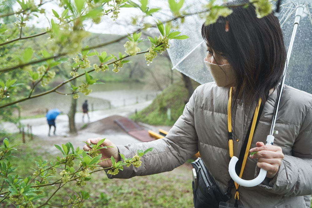 落ち葉や枯れ木は１カ所にまとめておくと微生物や虫によって分解され、カブトムシやクワガタムシなど、野生生物の格好のすみかに。