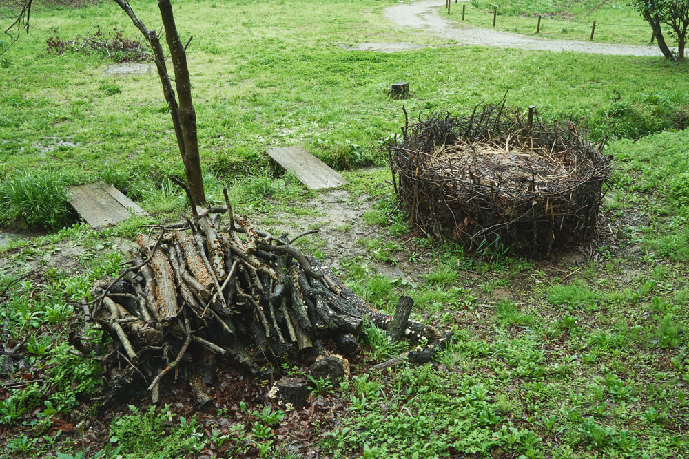 落ち葉や枯れ木は１カ所にまとめておくと微生物や虫によって分解され、カブトムシやクワガタムシなど、野生生物の格好のすみかに。
