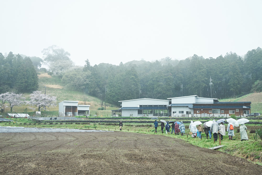 ぬかるみに気を付けながら食べられる山野草を探す１時間ほどの散策を終え、ランチ会場へ。