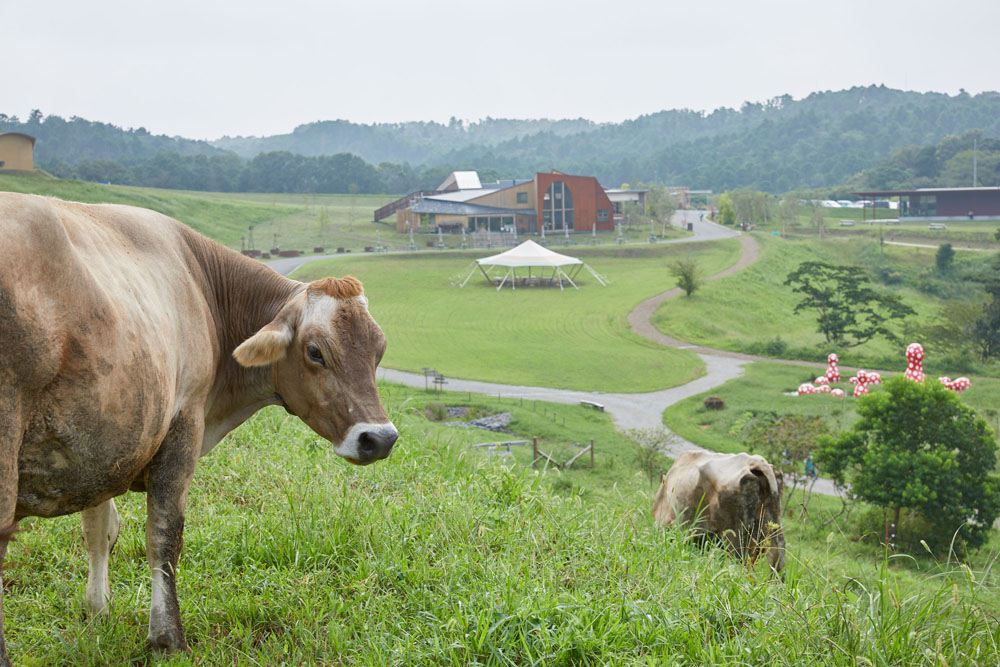 土づくりと生物多様性