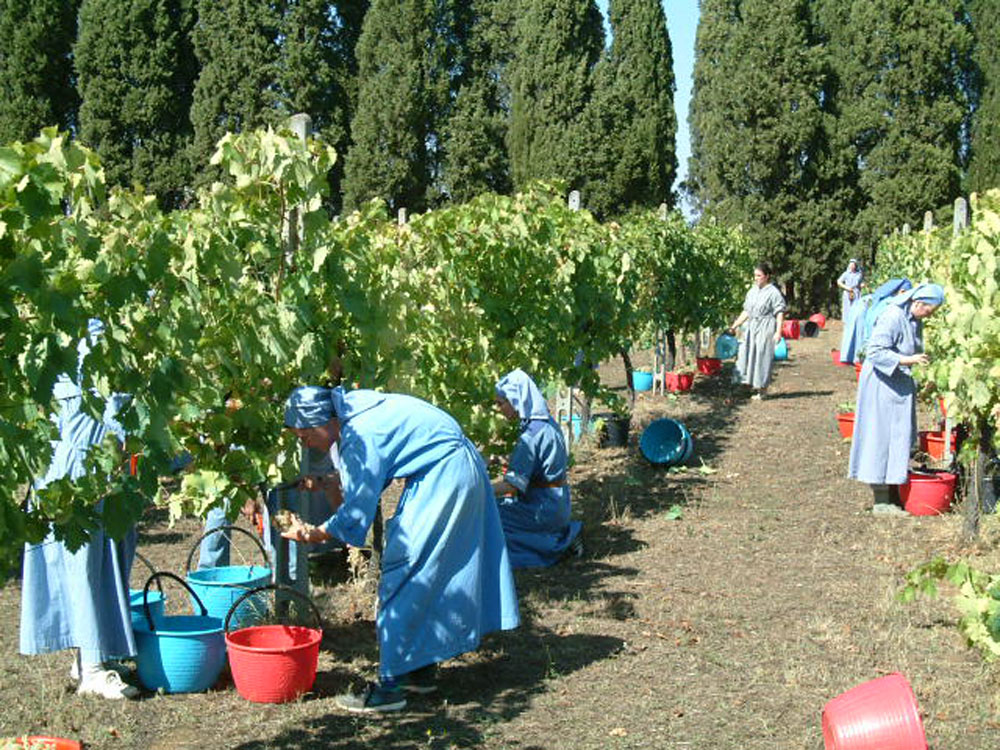 労働することも祈ることも集団で行う