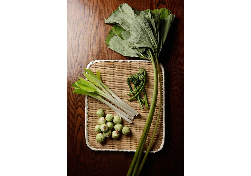 “ いつもの野菜” 感覚で山菜を使いこなす