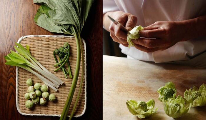 フキ、ウルイ、コゴミ・・・スーパーで買える山菜使いこなし術