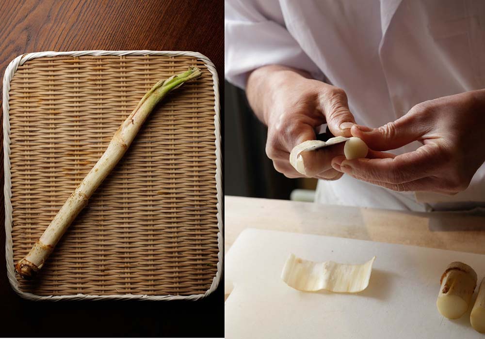 スーパーで買える山菜使いこなし術【ウド１本を余すことなく味わい分ける】