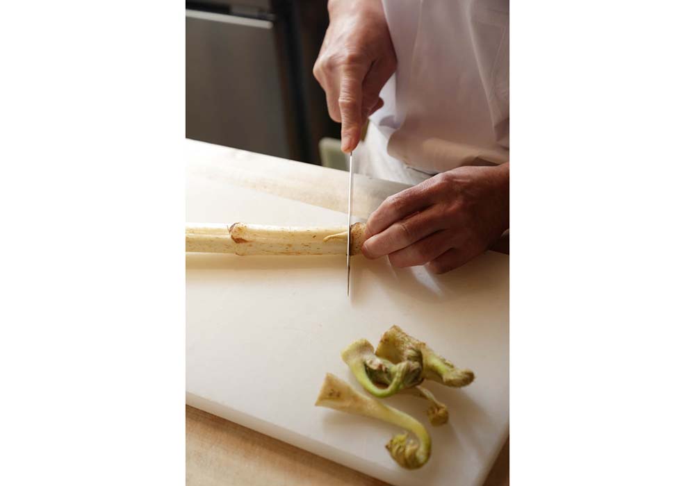 ●芽と茎を切り分ける