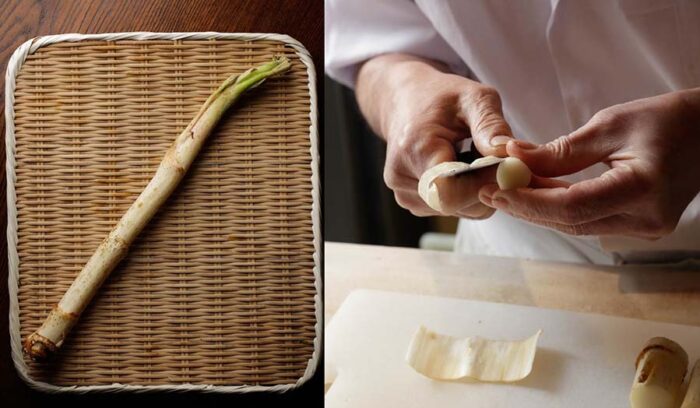 スーパーで買える山菜使いこなし術【ウド１本を余すことなく味わい分ける】