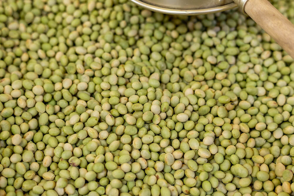 戻した大豆を24時間おく