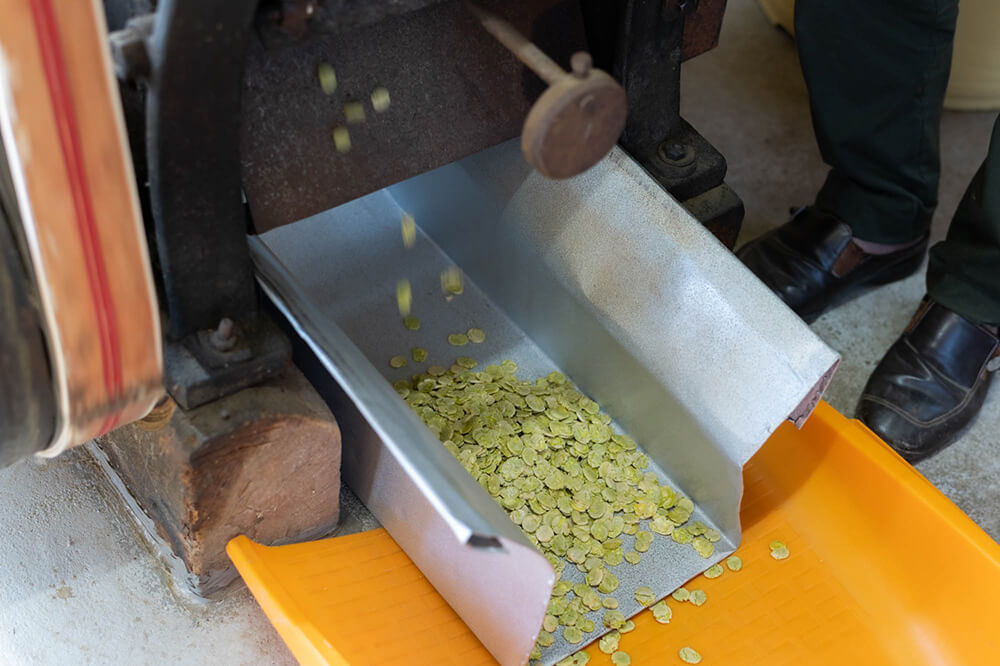 大豆を平らにつぶす