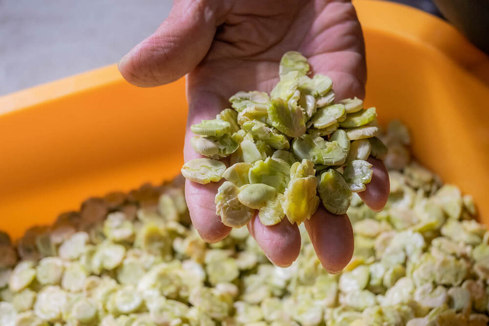 長期保存する場合は、完全に乾燥させる