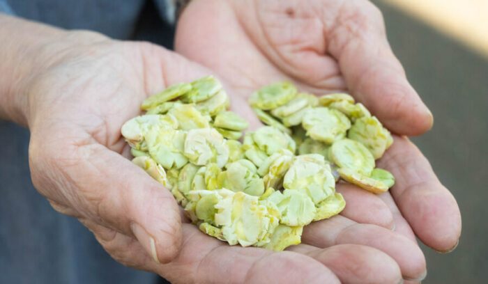 豆料理のハードルを下げる！今すぐ使える時短豆