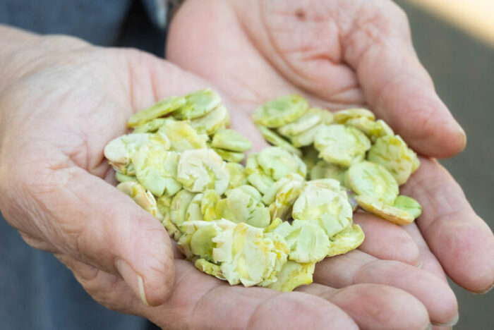 豆料理のハードルを下げる！今すぐ使える時短豆