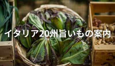 vol.10　マルケ州カメリーノ村のトッローネ