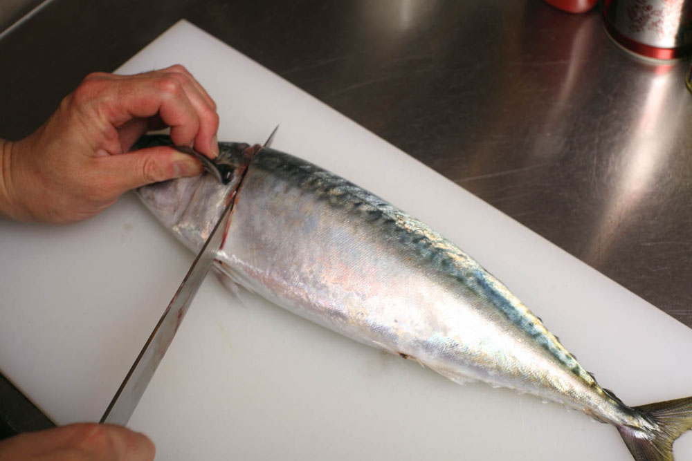 サバをさばく