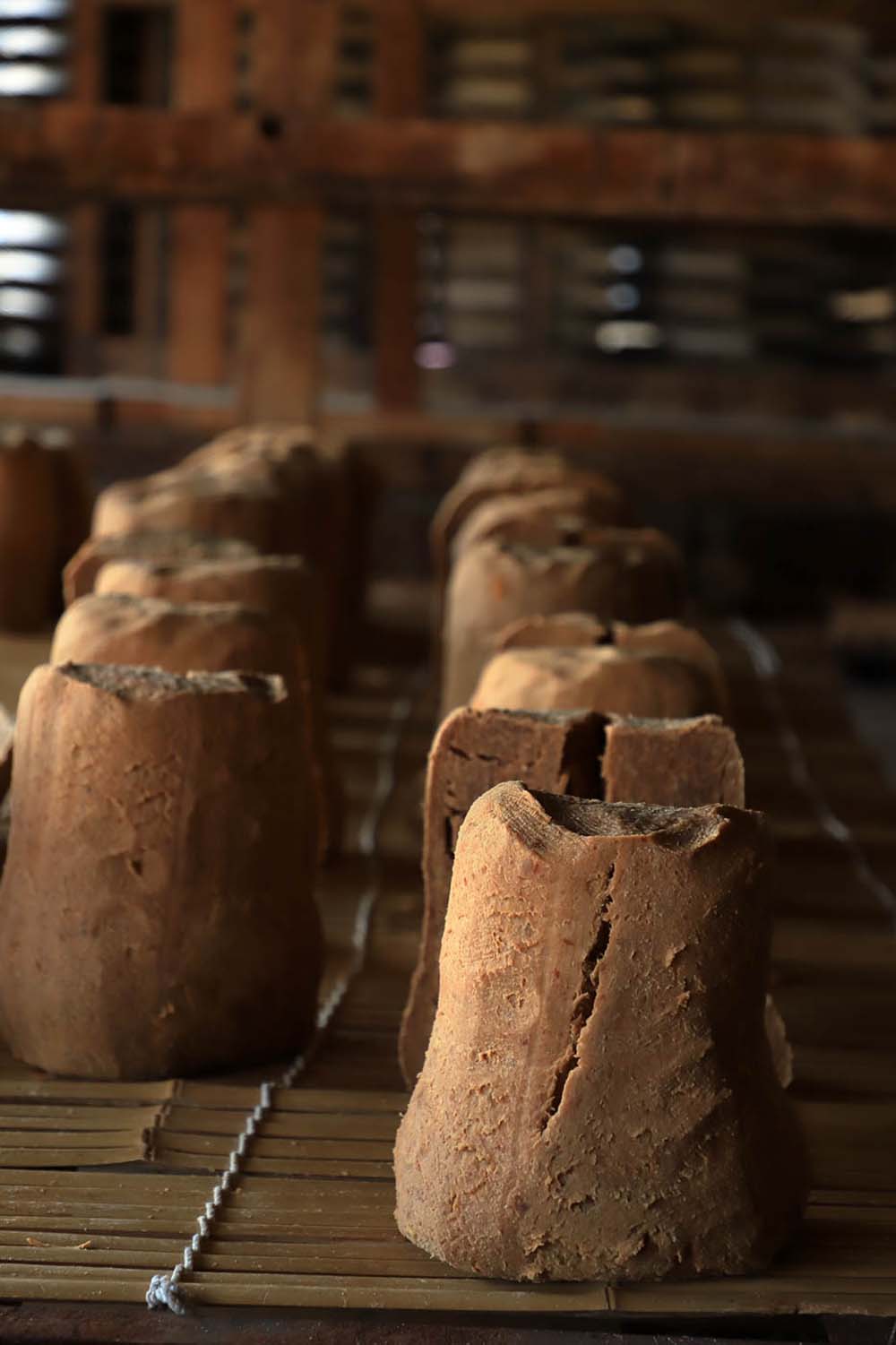 【ようこそ発酵蔵へ】味噌玉に酪酸菌が舞い降りる３週間