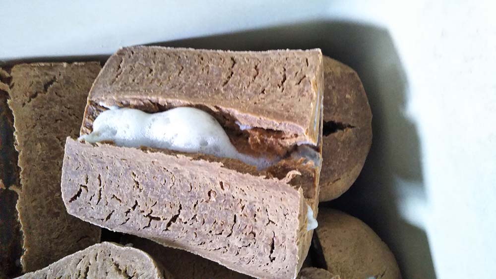 泡状の「アメ」の正体は不明だが、アルコール臭がする。「菌の呼吸による二酸化炭素では？」。味噌蔵から酪酸菌が検出されるのは稀。筑波大学院のチームが味噌玉を取り巻く菌を研究対象にしている。photograph by Mannenya