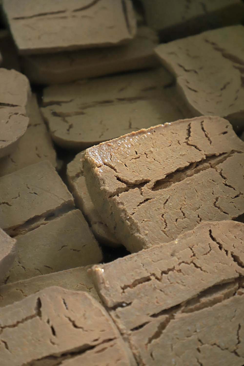 味噌玉は水で戻してから表面をよく洗い、味噌に仕込む。