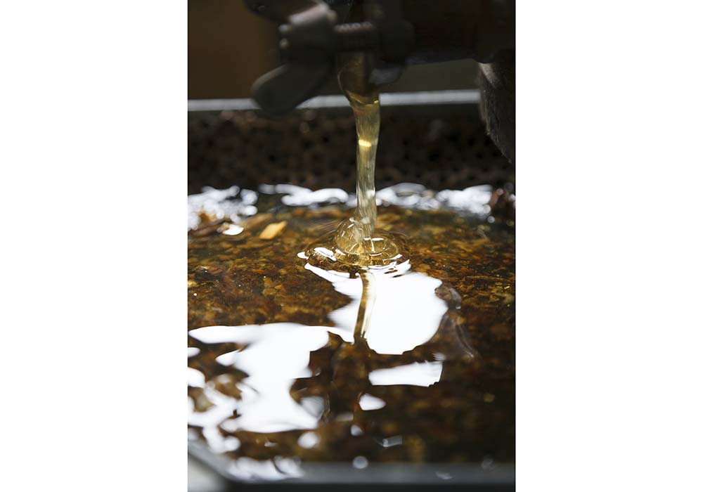 遠心分離機の蛇口から流れ出るハチミツ。一度濾過し、そのまますぐ瓶詰される。