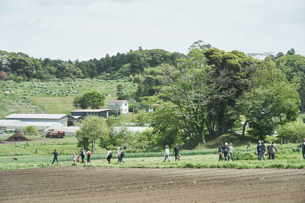 オーガニックファーム、ハウス、エディブルガーデン、ビオトープ、野生の森などを移動しながら、ワークショップは進行します。