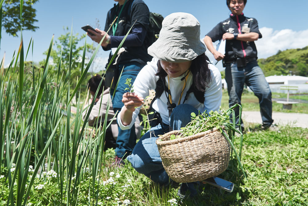 料理通信編集長の曽根もワークに参加。クルックフィールズのメンバーが自然のプロなら、料理通信メンバーは自然の素人。レクチャーを新鮮に受け止めています。