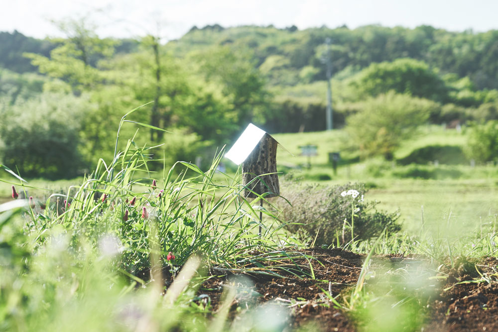 バグホテルは穴が開いた面を北向きに立てます。「越冬する虫は木の北側に住処を作る。暖かい場所では体温が上がってエネルギーを奪われるから。気温が変化しにくい場所のほうがいいんですね」