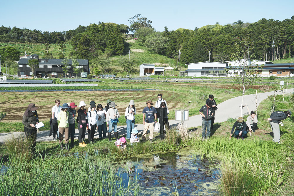 森までの道中の水辺でオタマジャクシとカエルを観察。「カエルの鳴き声はオスからメスへのラブコール。だから、鳴くのは繁殖期だけ」