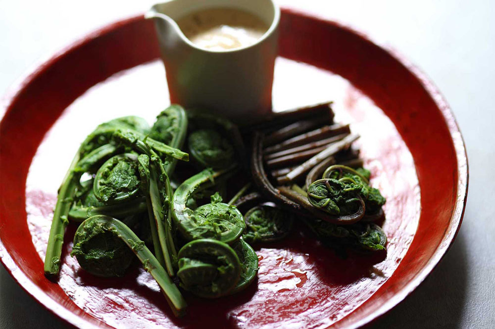 コゴミの味噌ドレッシング