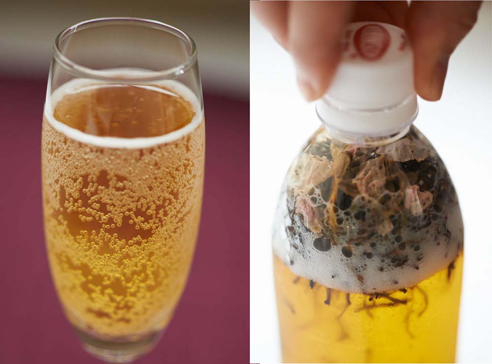 ノンアルを華やかに。水出し「ティーソーダ」を空の下で楽しもう