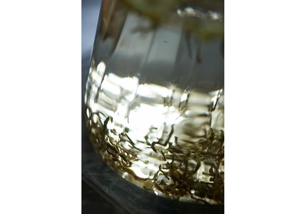 そのまま冷蔵庫へ。６～８時間経ったら一度漉す。