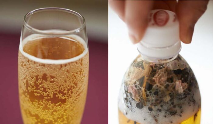 「ノンアル」を華やかに。水出し「ティーソーダ」を空の下で楽しもう