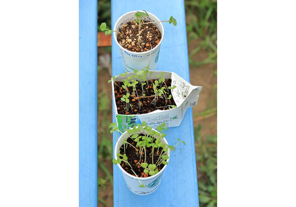 牛乳カップや紙コップでも作れます。