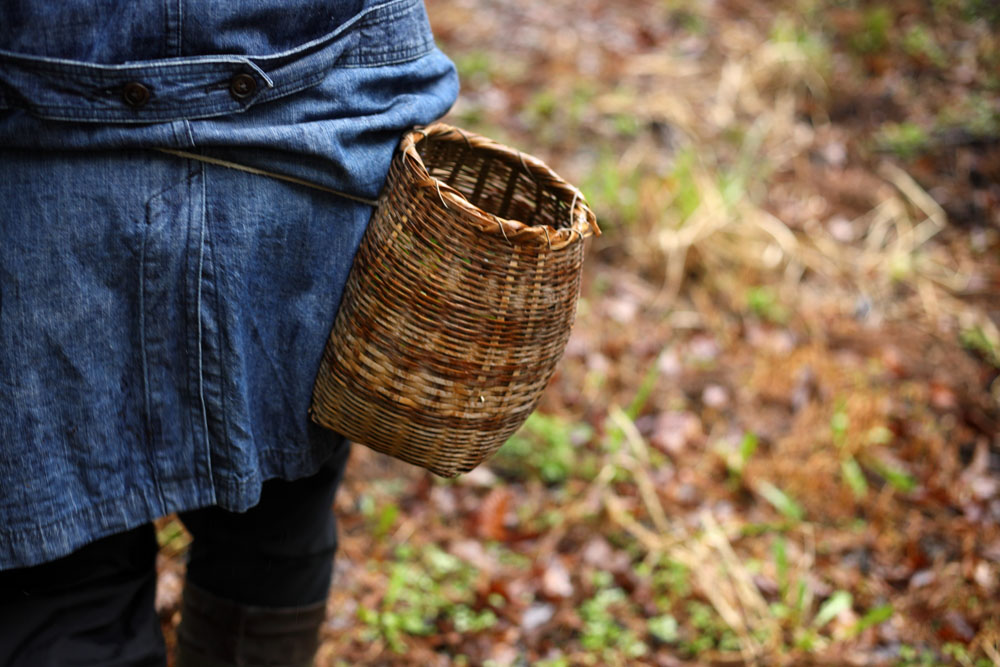 「山が日本人を育てた」が成光さんの持論。「自分で採ったものは自分で判断できるのが理想。身の回りで何が起きているのかを理解できるようになりたい」と悠介さん。