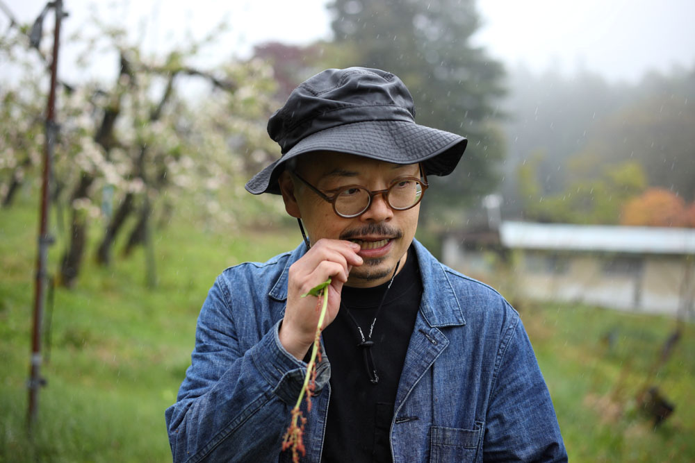 食べてみるのは料理人の習性。葉、茎、花、実、根、ひとつの植物も部位によって異なる触感と味わいがあり、活かし方は多様だ。