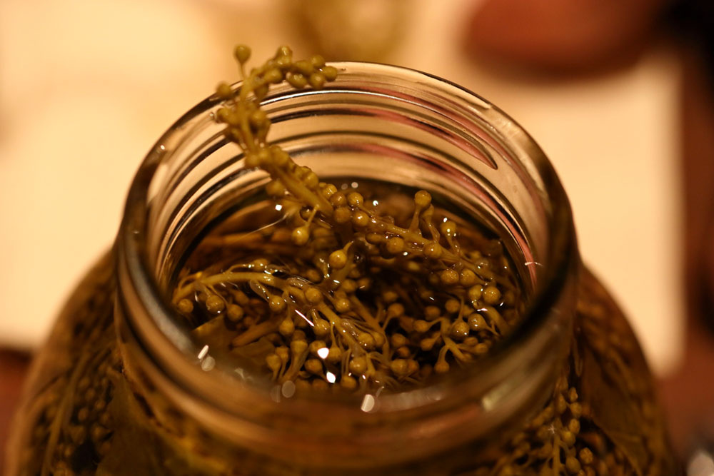 「食材が渋滞していると感じる時がある。渋滞の中から加工法や保存法が生まれたんでしょうね」。写真はウワミズザクラの花の蕾の塩漬け。アンズの種の仁に似た香りがすることから「杏仁香（あんにんご）」と呼ばれる。