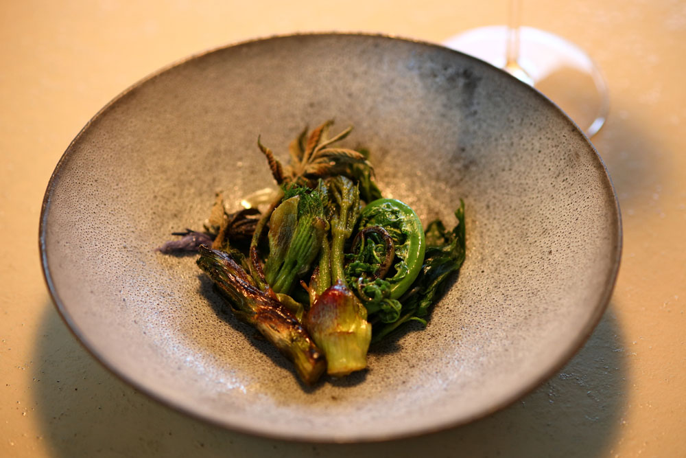 モミジガサ、ヤブレガサ、コゴミ、アブラコゴミ、コシアブラ、カタクリは塩茹でに、ウドはグリルに、ハリギリは素揚げに、タラの芽は揚げ浸しにして。セリのパンナコッタとセリのジェノベーゼが隠れている。