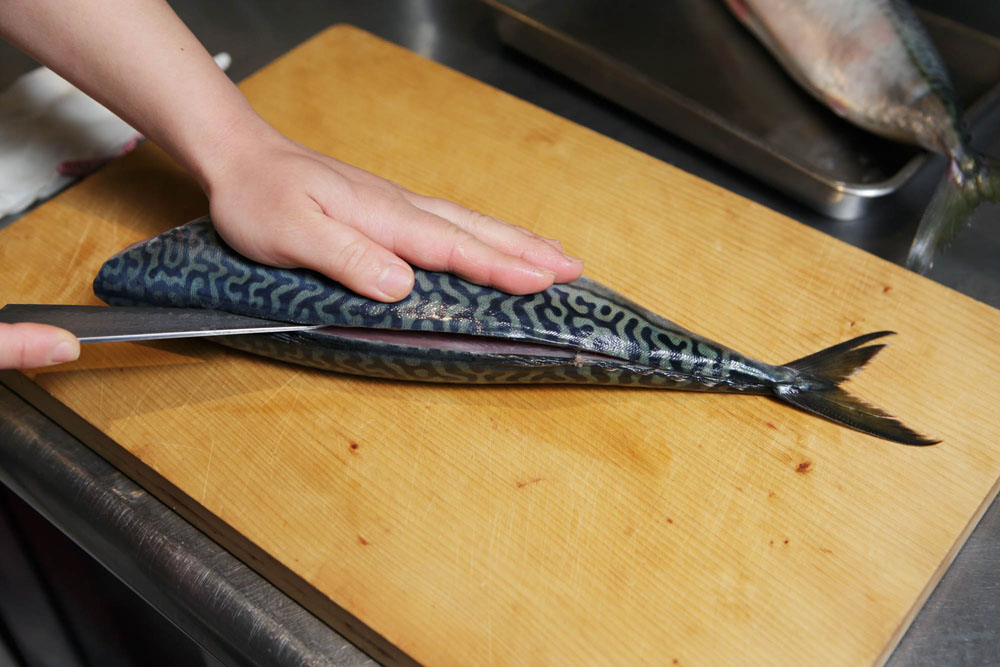 サバを３枚におろす