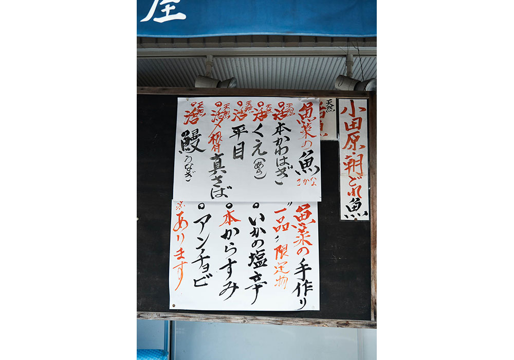 小田原の新鮮な朝獲れ魚