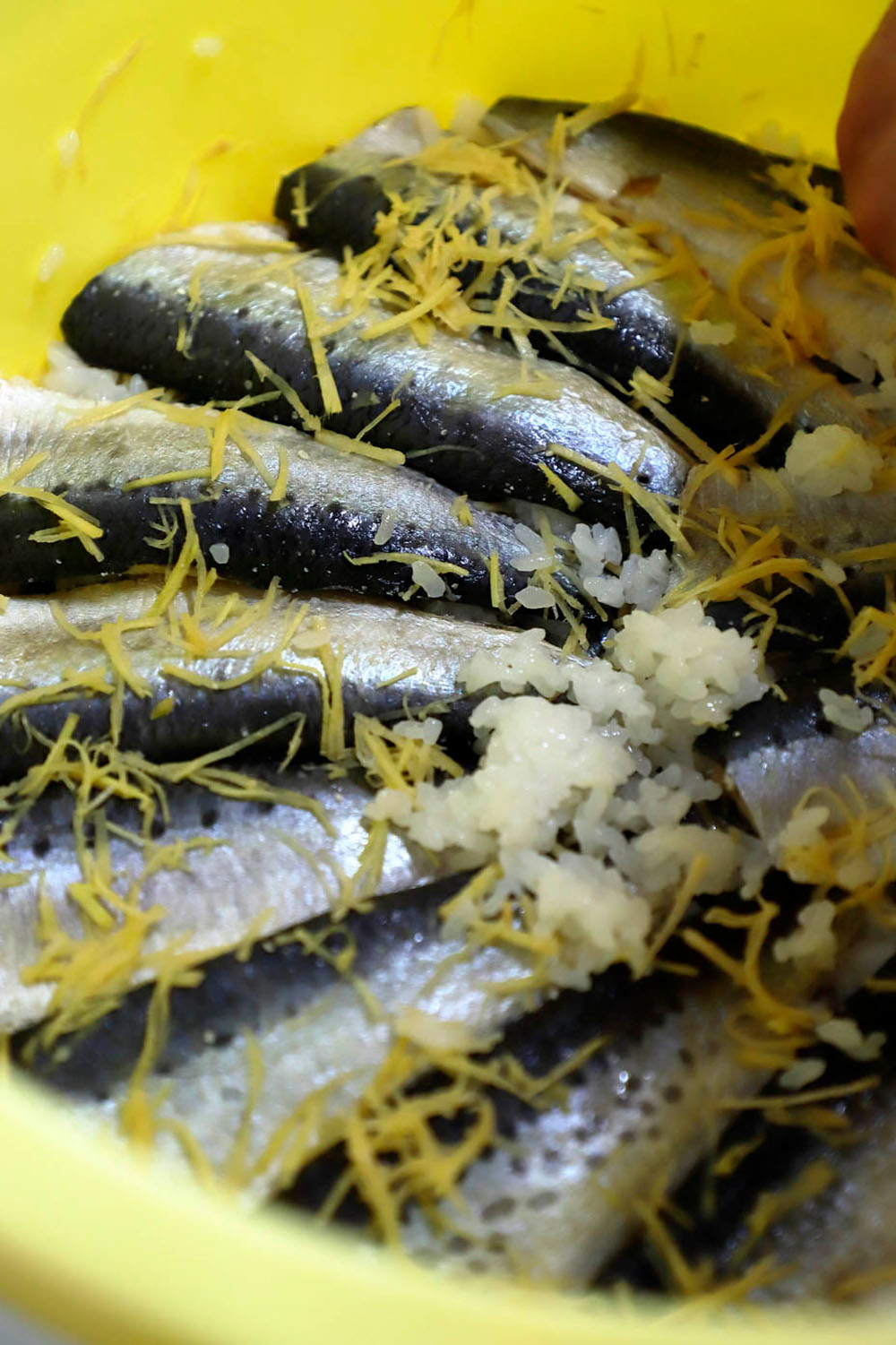 【ようこそ発酵蔵へ】蔵人が仕込む九十九里「いわしのなれずし」