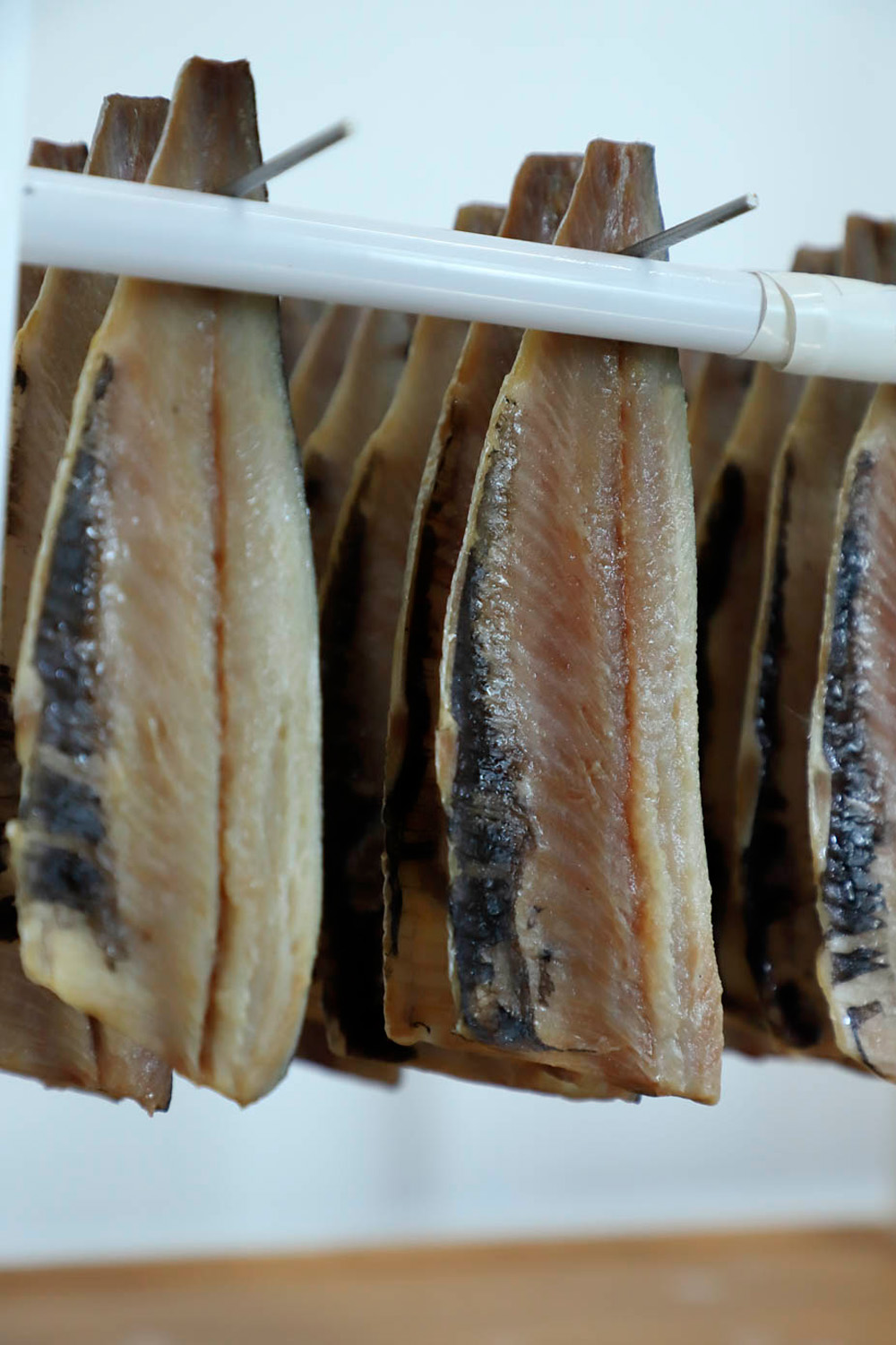 北海道産イワシ