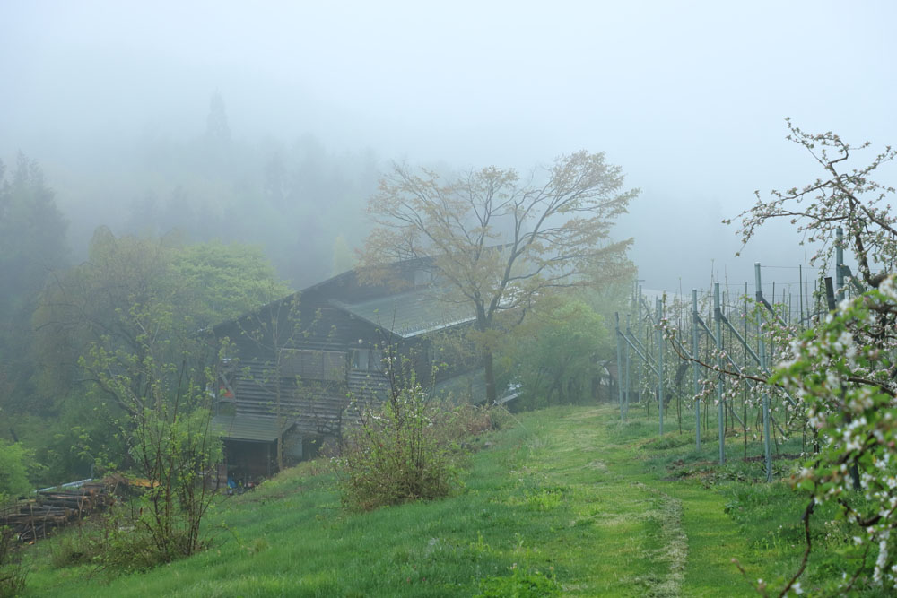 竹内シェフが10～18歳まで暮らした川場村の小さな集落。森に囲まれた中にりんご畑や野菜畑が広がり、川が流れている。