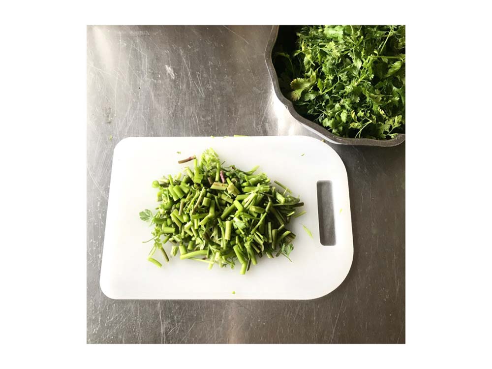 香菜の茎