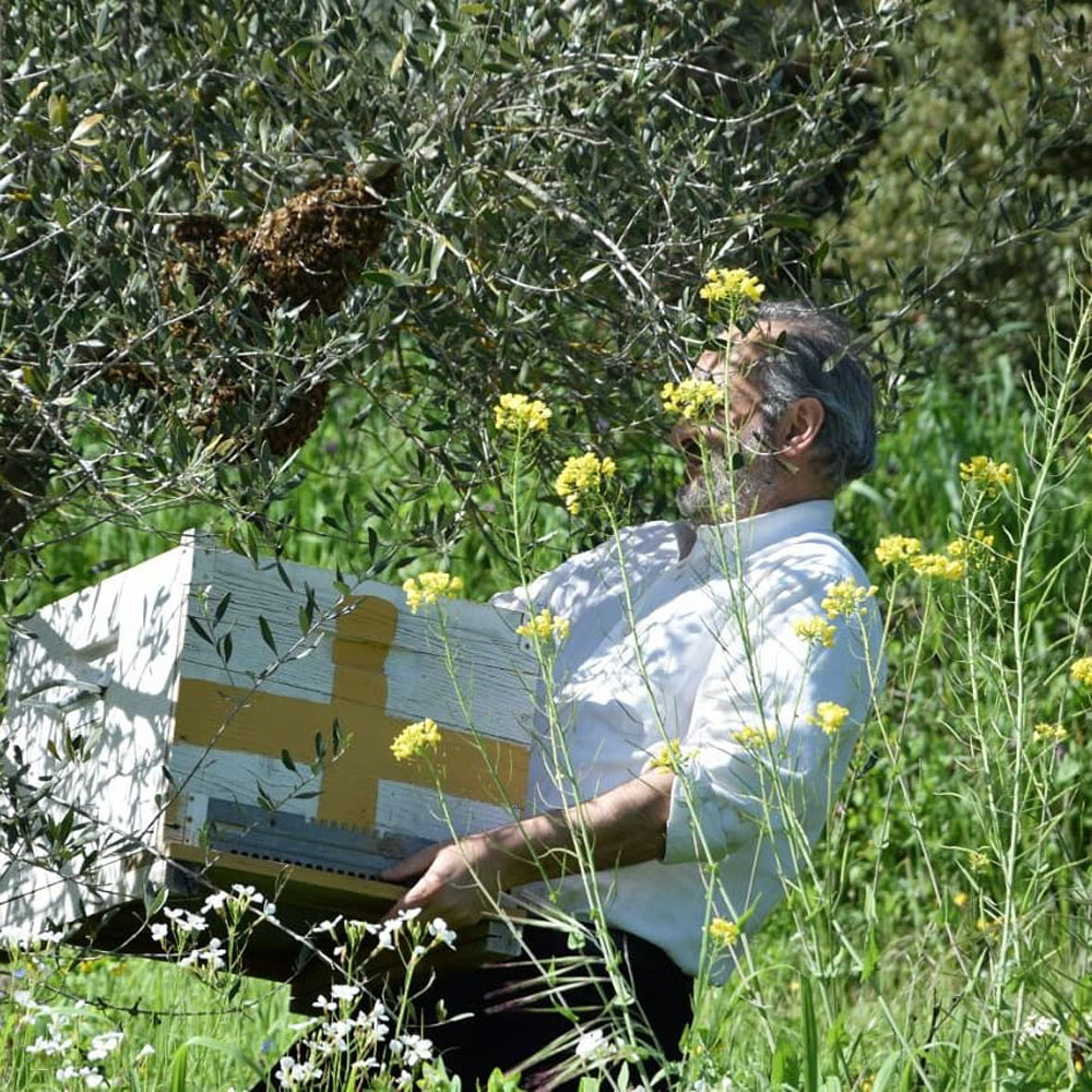 アイデンティティ、責任、品質