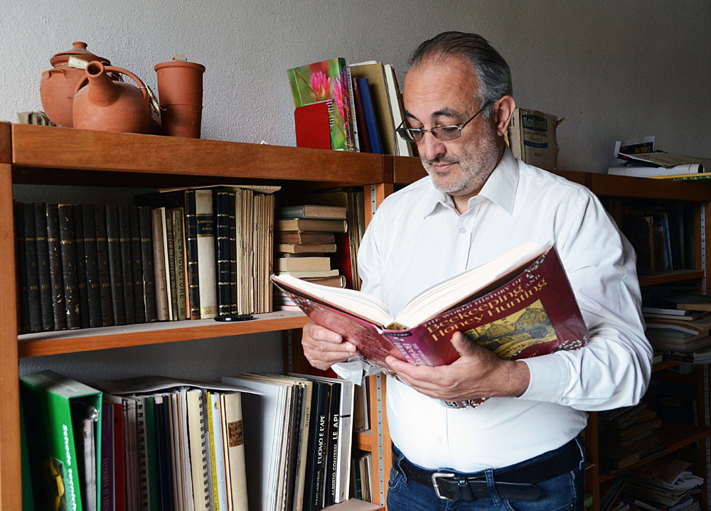 アーペ・ブリダーナ（ビュリダンのミツバチ）