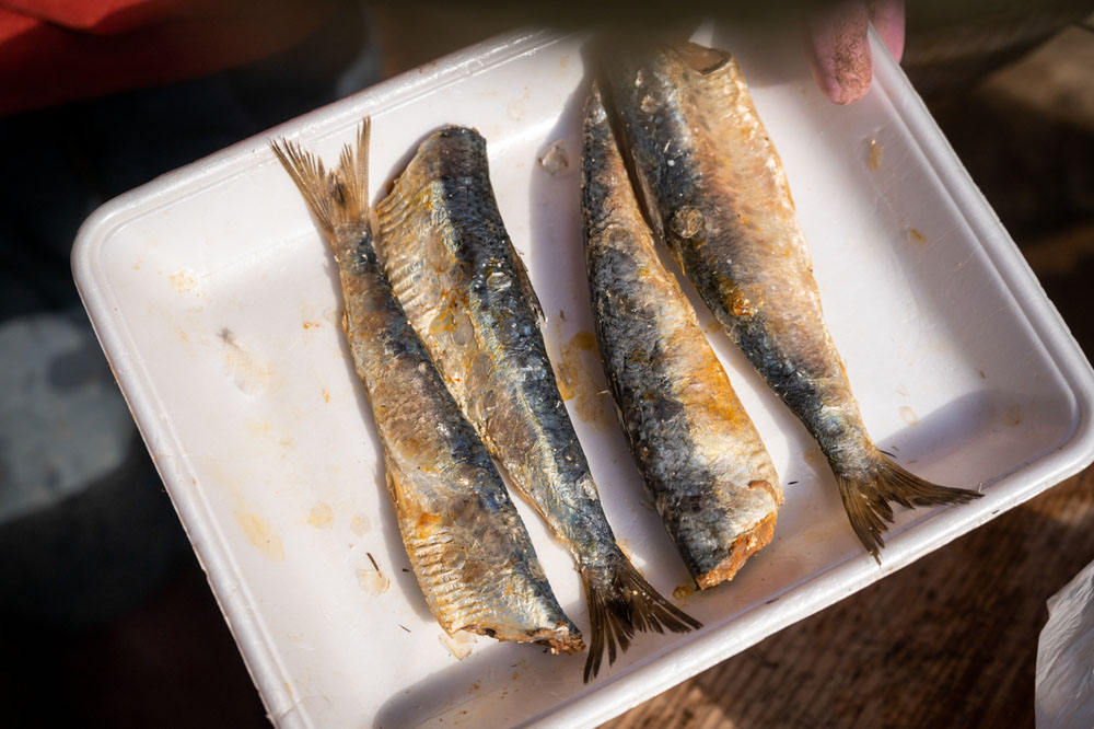 春に仕込み、約半年をかけて完成したしょっからいわし。